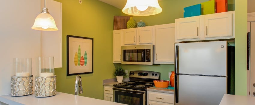 Kitchen in a Fishers apartment